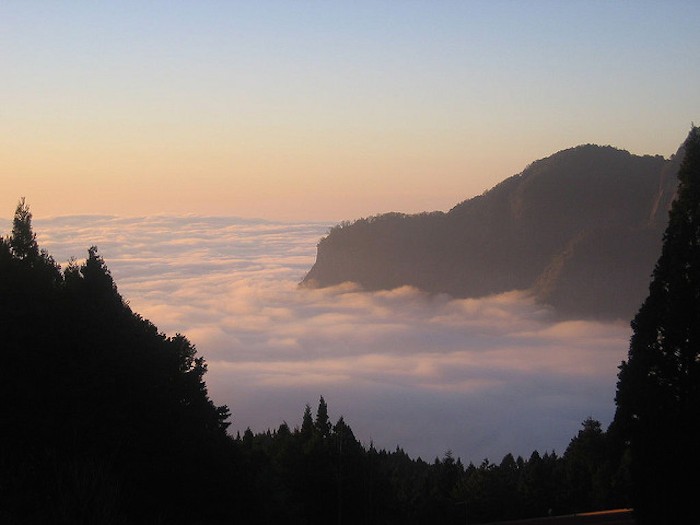 alishan taiwan