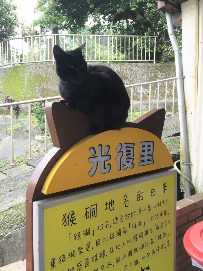 Cat Village at Houtong