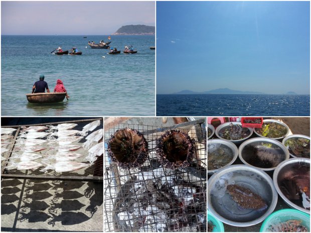 vietnam's central coast cham islands