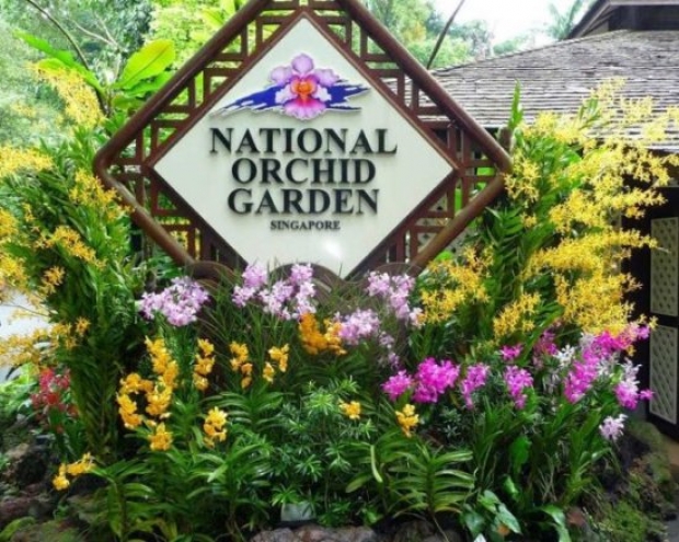 Enjoy 50% Off Admission Ticket to National Orchid Garden with Maybank