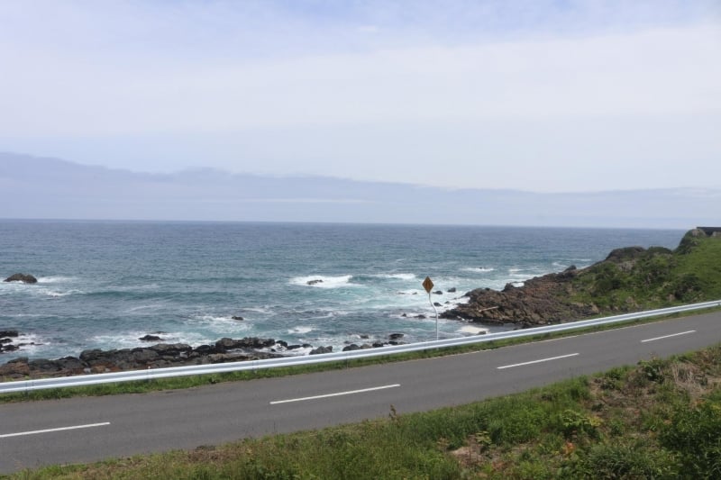 coastal view from the train