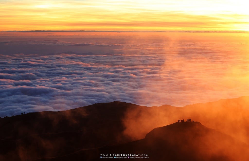 mount pulag