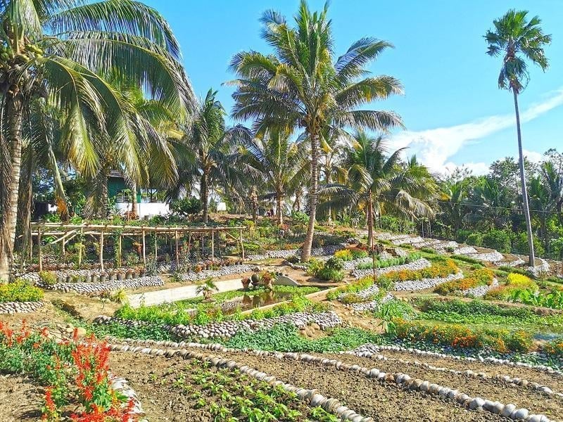 history of agri tourism in the philippines