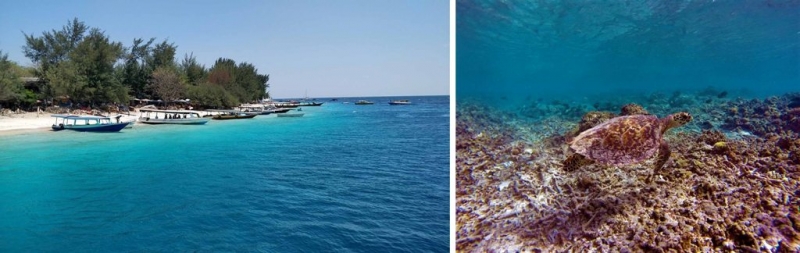 things to do in lombok