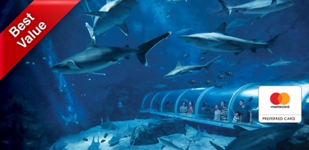 Mastercard® Exclusive: Buy S.E.A. Aquarium Adult One-Day Ticket at SGD40 and get FREE SGD5 Meal Voucher + Souvenirs (worth SGD19.80)