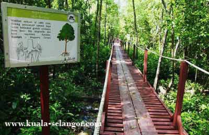 Kuala Selangor Nature Park