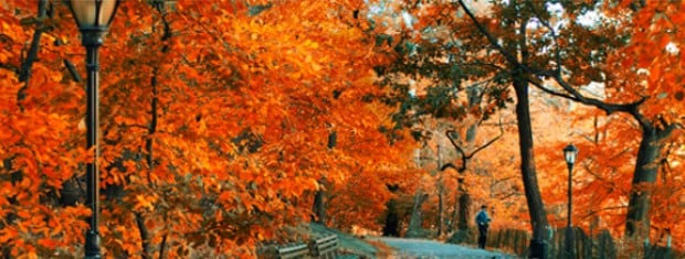 Fly to Europe and Enjoy Autumn with Swiss Airlines from SGD986