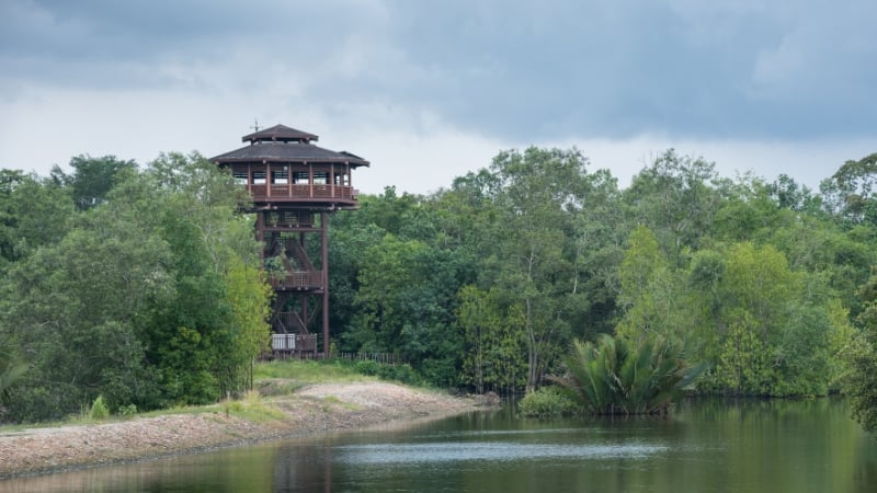 sungei buloh wetland reserve