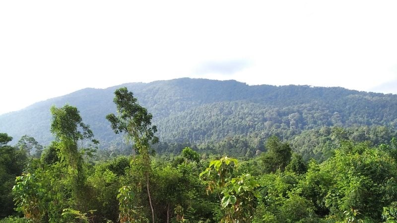 mountain view