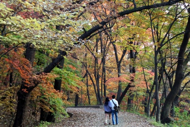 korea autumn photos