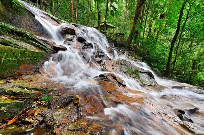 Kanching Recreational Forest