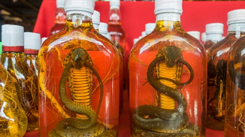 snake wine