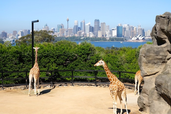 Taronga Zoo