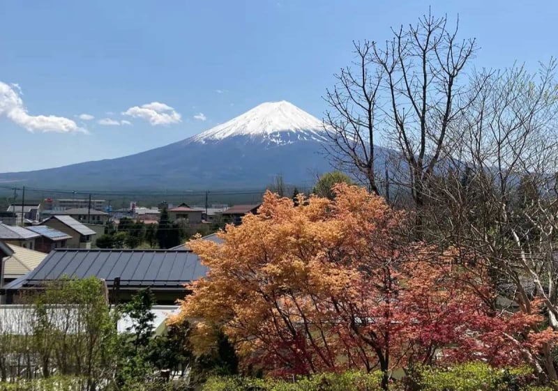 view of mount fuji from the airbnb's terrace