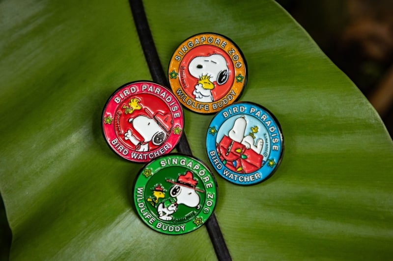 snoopy badges in red, green, blue and orange