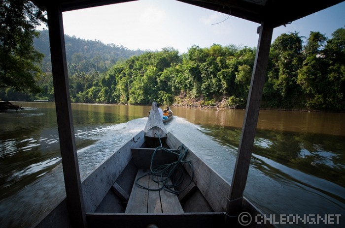 Taman Negara