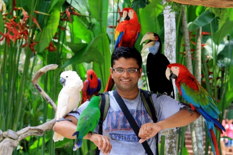 things to do in ubud: bali bird park