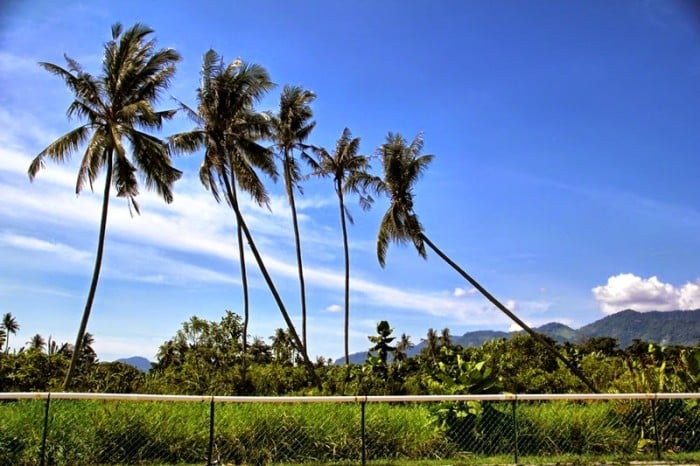 Balik Pulau