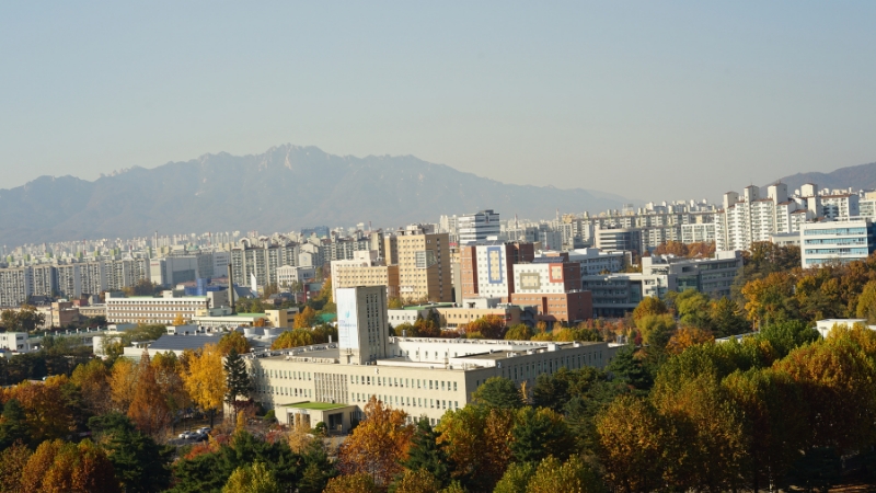 scholarship program south korea