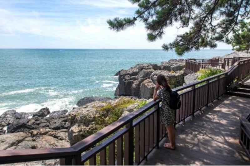 Dongbaekseom Island Walk