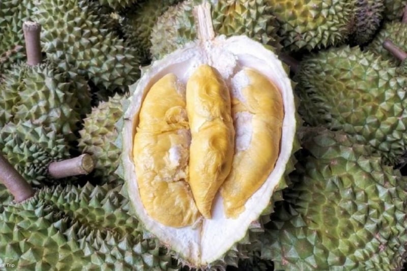 durian buffet jb