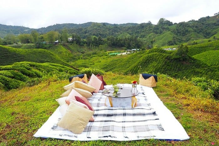 Cameron Highland, Pahang