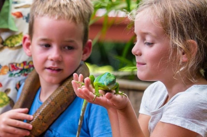 kids up close with reptilian wildlife