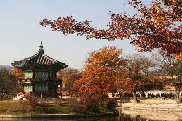 fall foliage in Gyeongbokgung