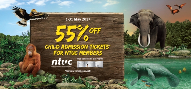 NTUC May Day Promotion in Wildlife Reserves Singapore
