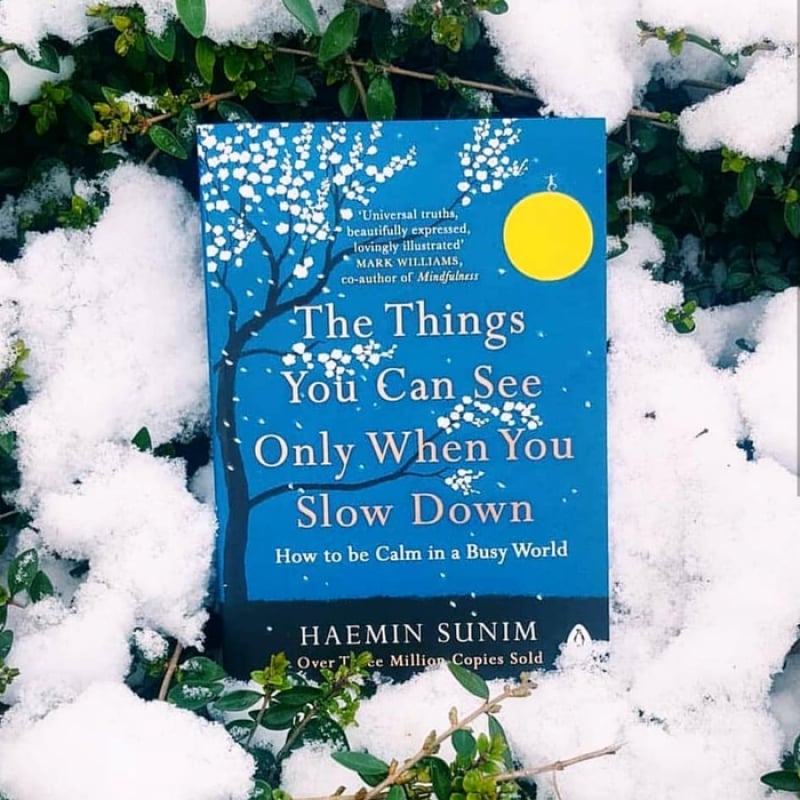 The Things You Can See Only When You Slow Down book