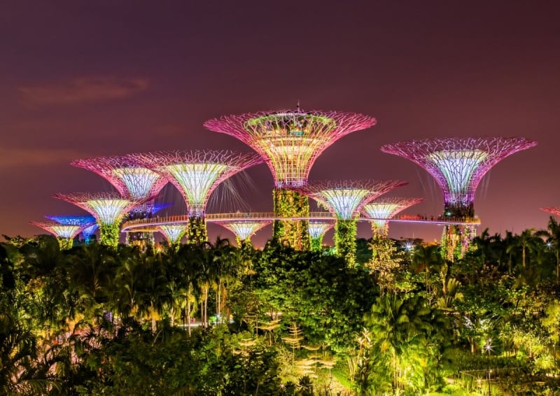 Northern Lights Singapore