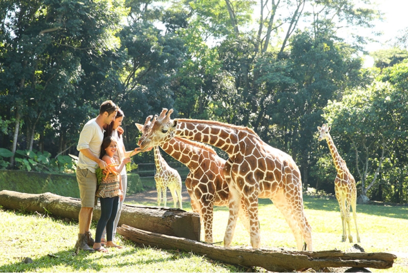 taman safari prigen