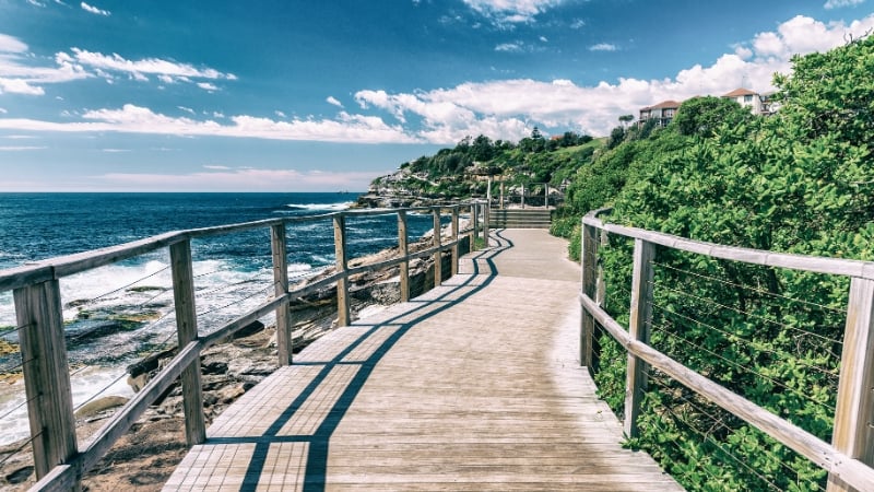 a boardwalk by the coast