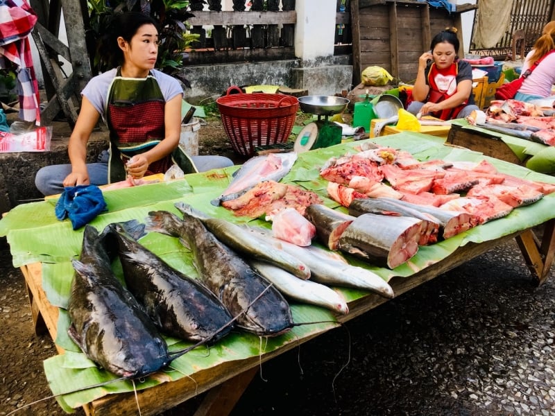 Fresh fish sold at Luang Prabang Morning Market