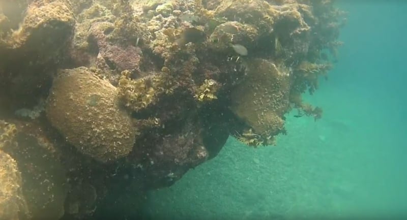 snorkelling in baler