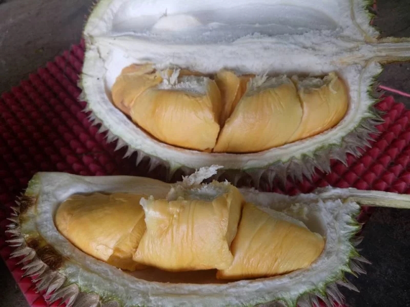 The Ultimate Guide to Durian Season in Malaysia 2019