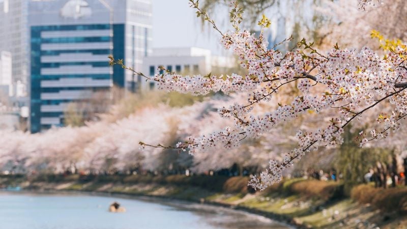 Seokchon Lake