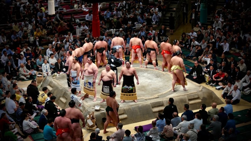 sumo wrestling tournament things to do in tokyo
