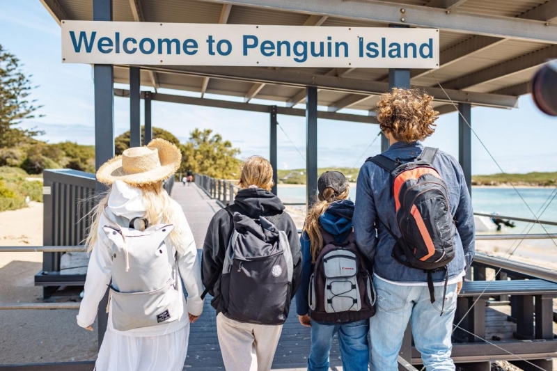 sights in western australia penguin island