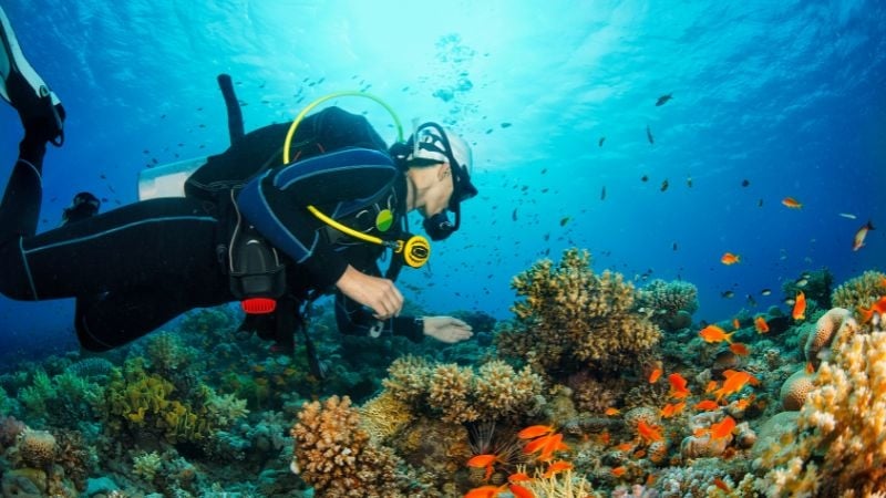 scuba diving