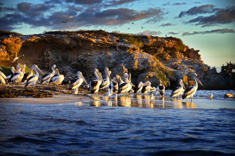 sights in western australia