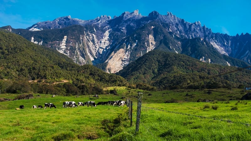 kinabalu