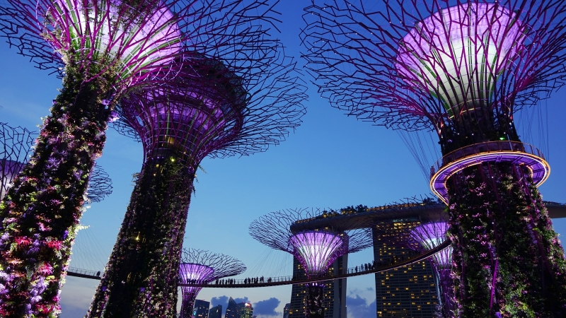 things to do in singapore