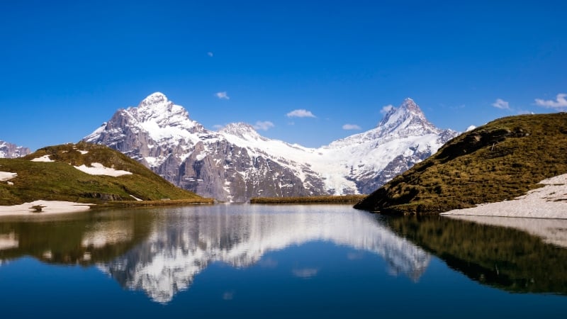 the bernese alps