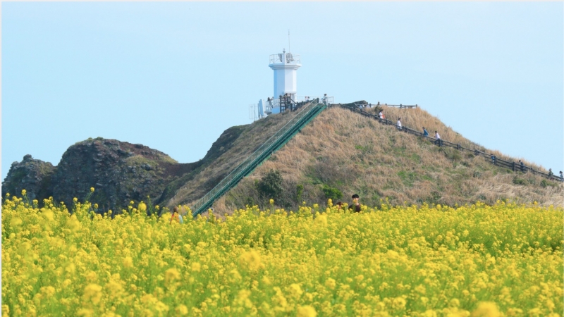 South Korea K-drama itinerary: Seopjikoji Hill