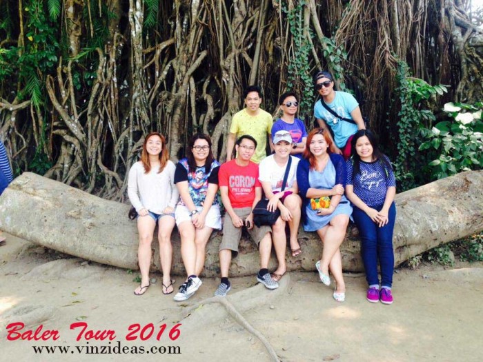 Balete Tree