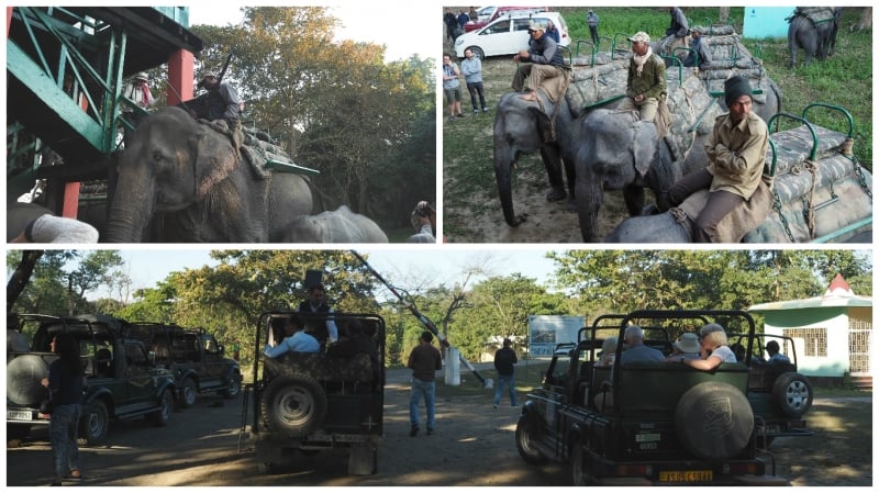 things to do in kaziranga