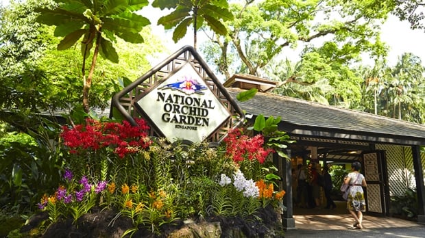 Up to 50% Off Admission to National Orchid Garden with Maybank Card