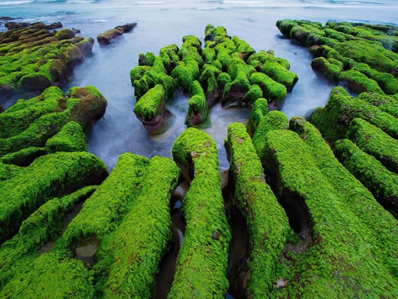 Taipei attractions: Laomei green reef