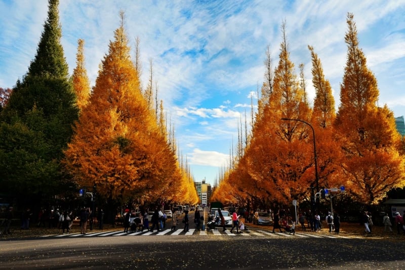 places to visit in japan during autumn